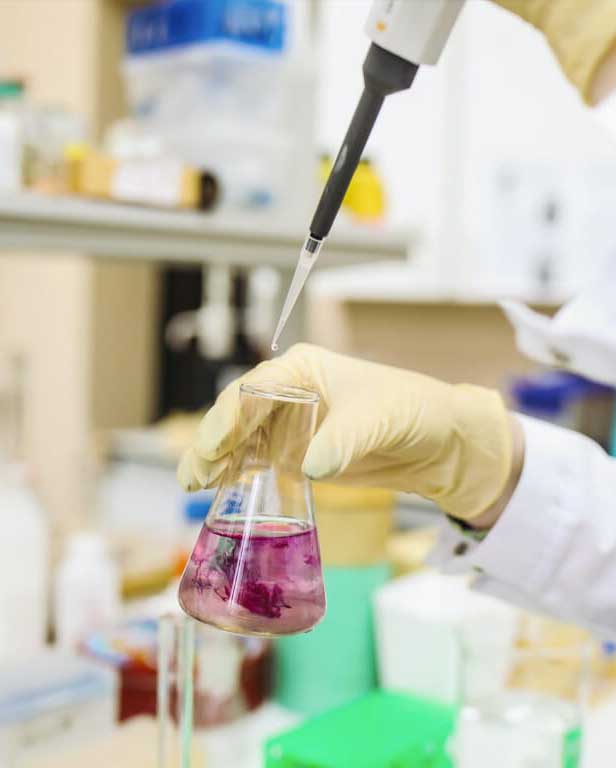 Medical Support and Research